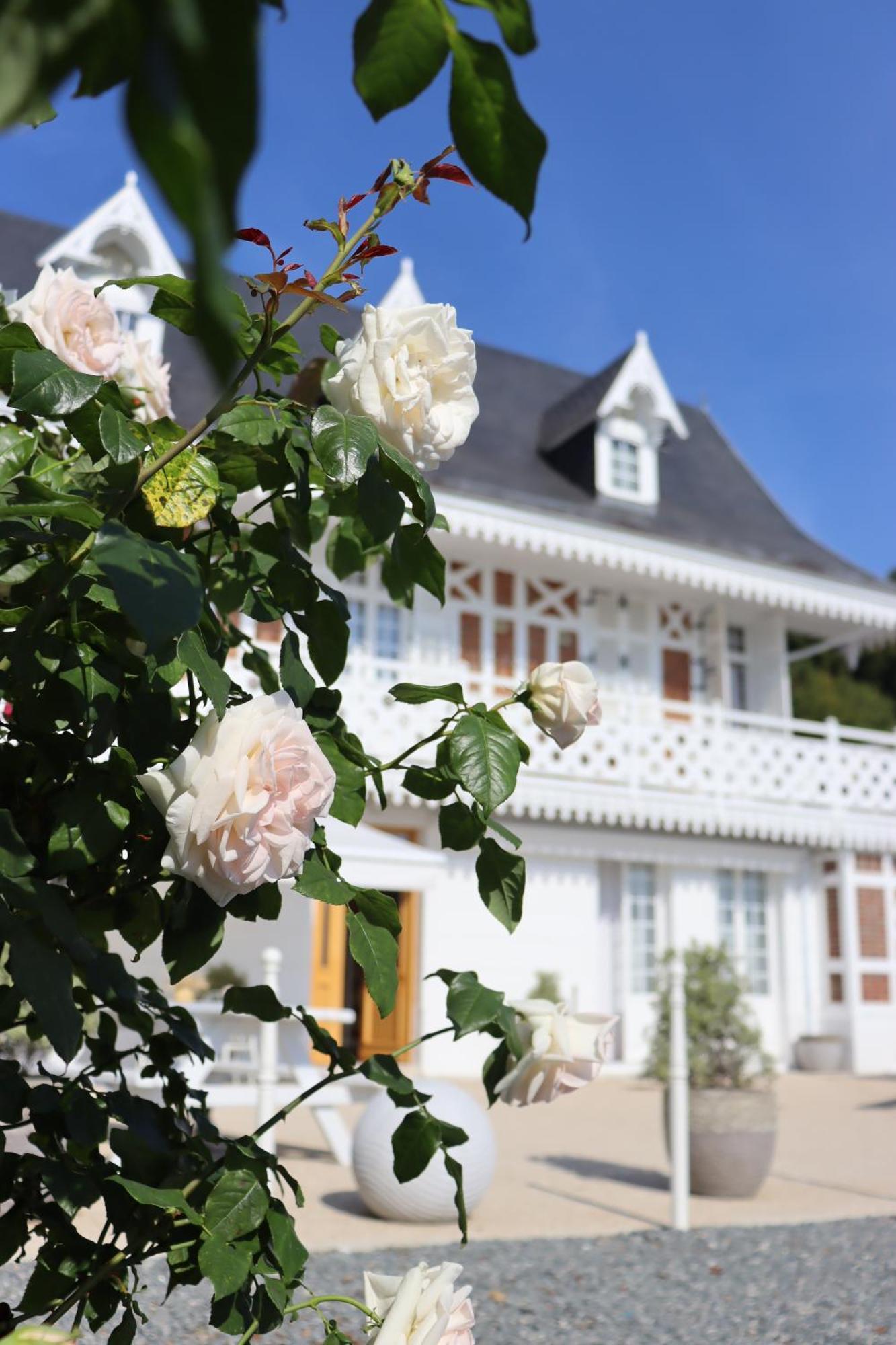 White House, Maison D'Hotes Villequier Exteriér fotografie